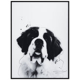 Saint Bernard
