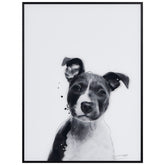 Pitbull
