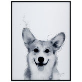 Corgi