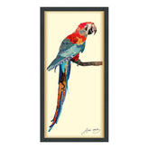 Tropical Parrot