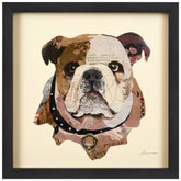 English Bulldog Pup