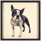 Boston Terrier 2