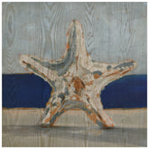 Starfish by The Sea