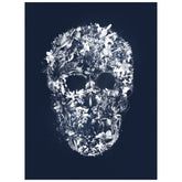 Skull Silhouette