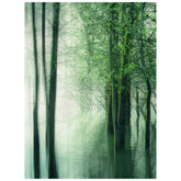 Forest in the Lake