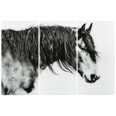 Black and White Horse Portrait III
