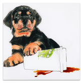 Java's Paw - Discontinued, while supplies last