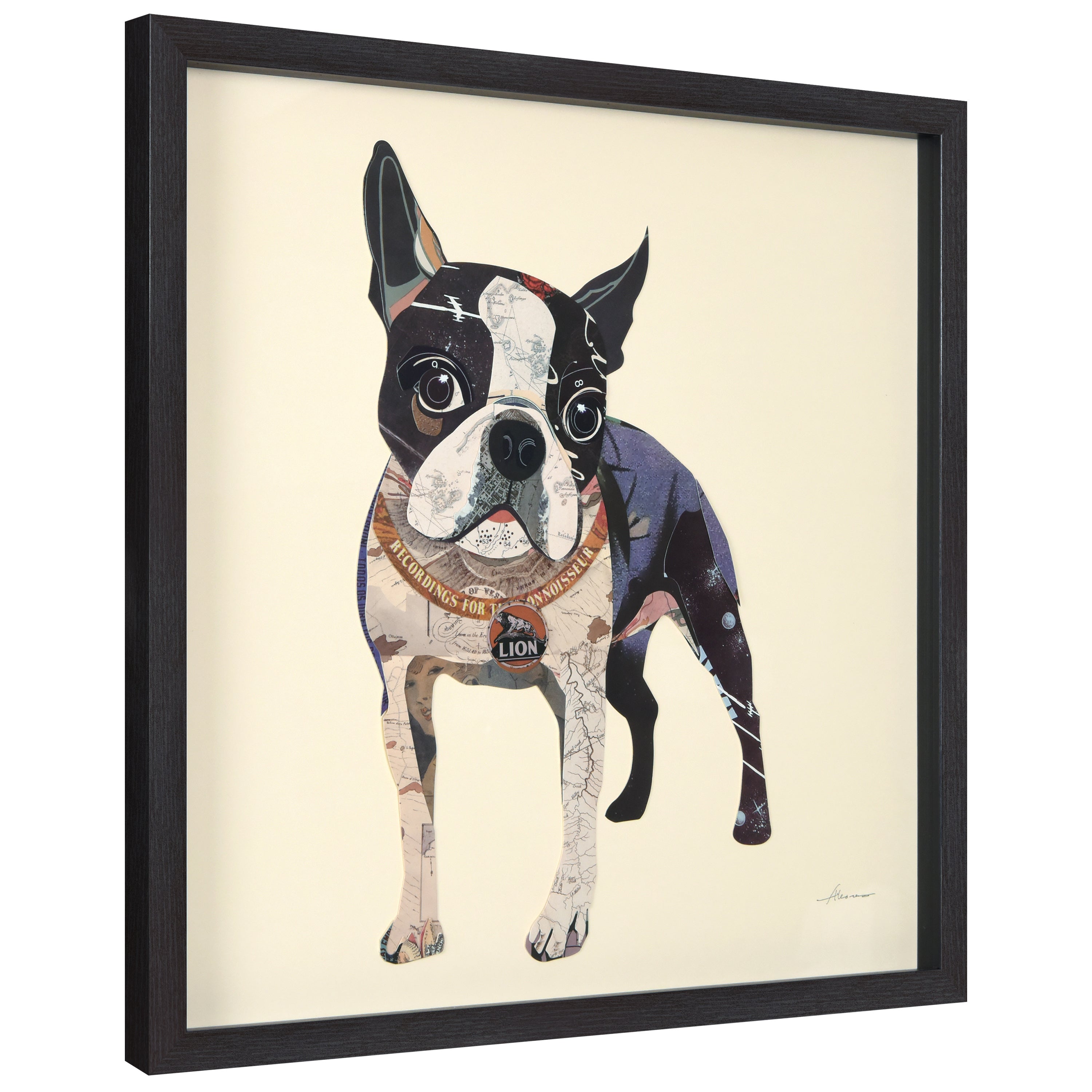 Boston Terrier 2