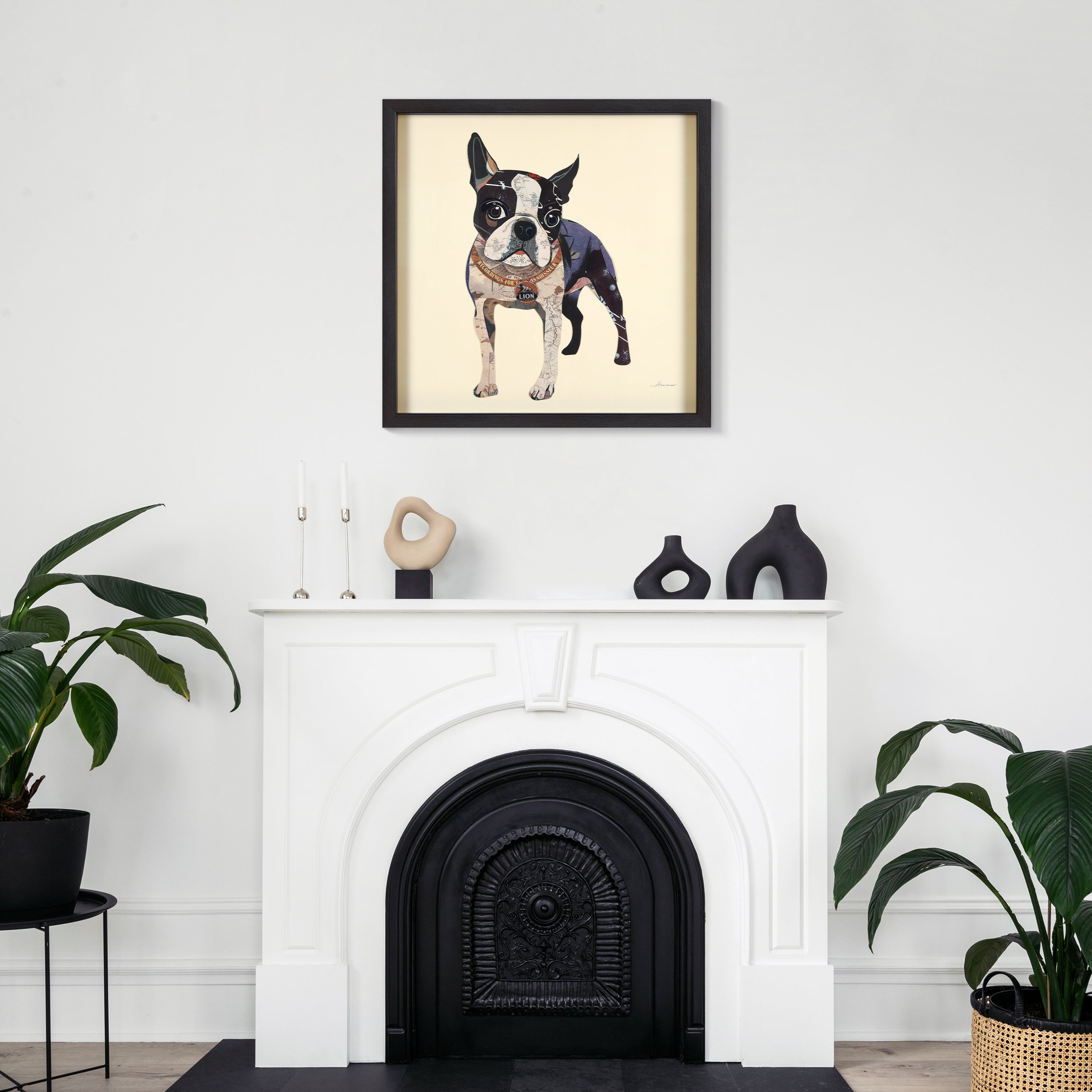 Boston Terrier 2