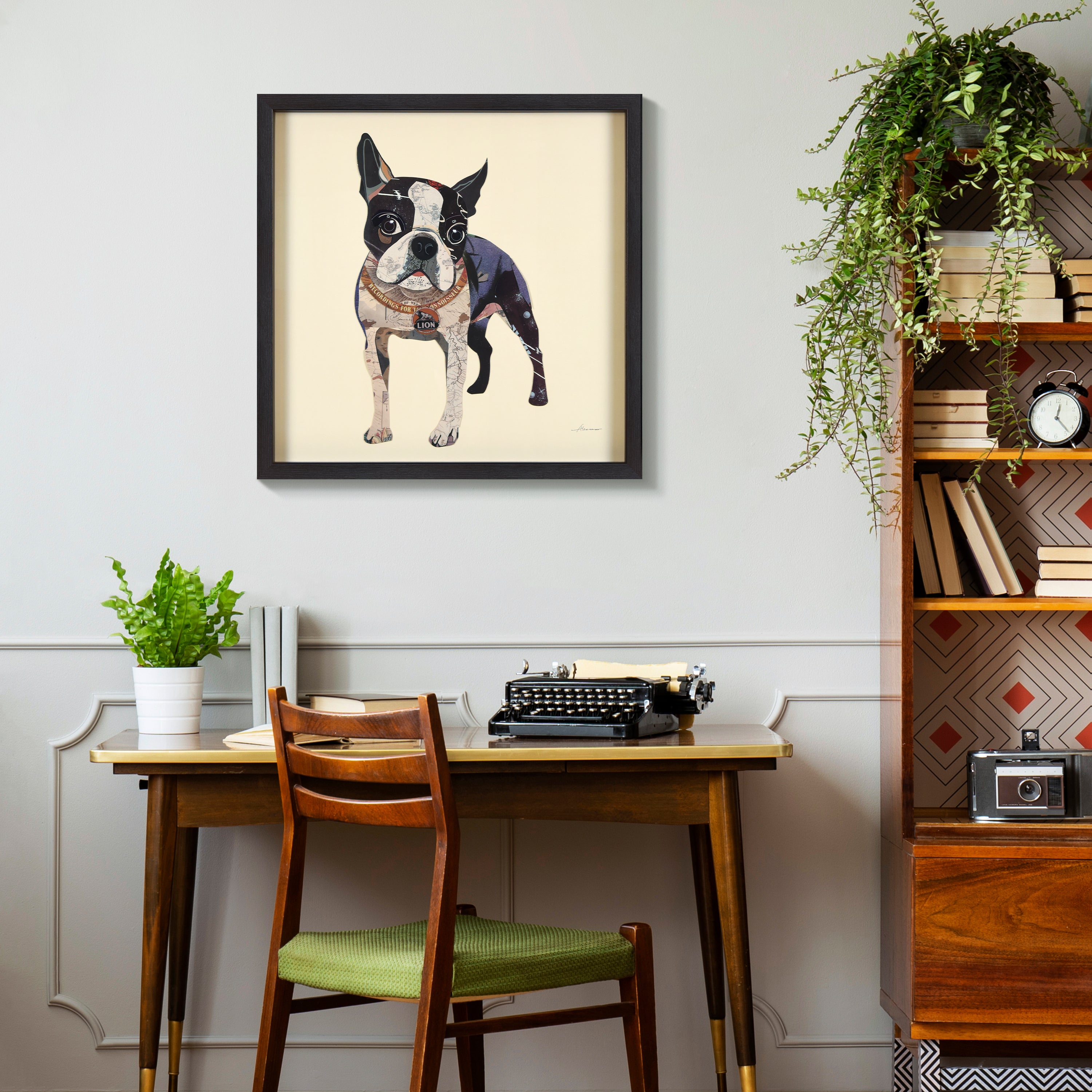 Boston Terrier 2