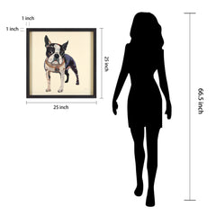 Boston Terrier 2